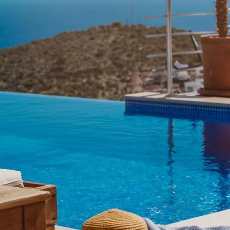 Aslan Kalkan *
